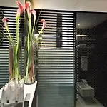 Navona Suites